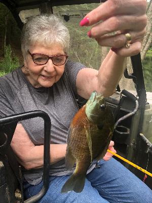 Mission Fish Fun!
